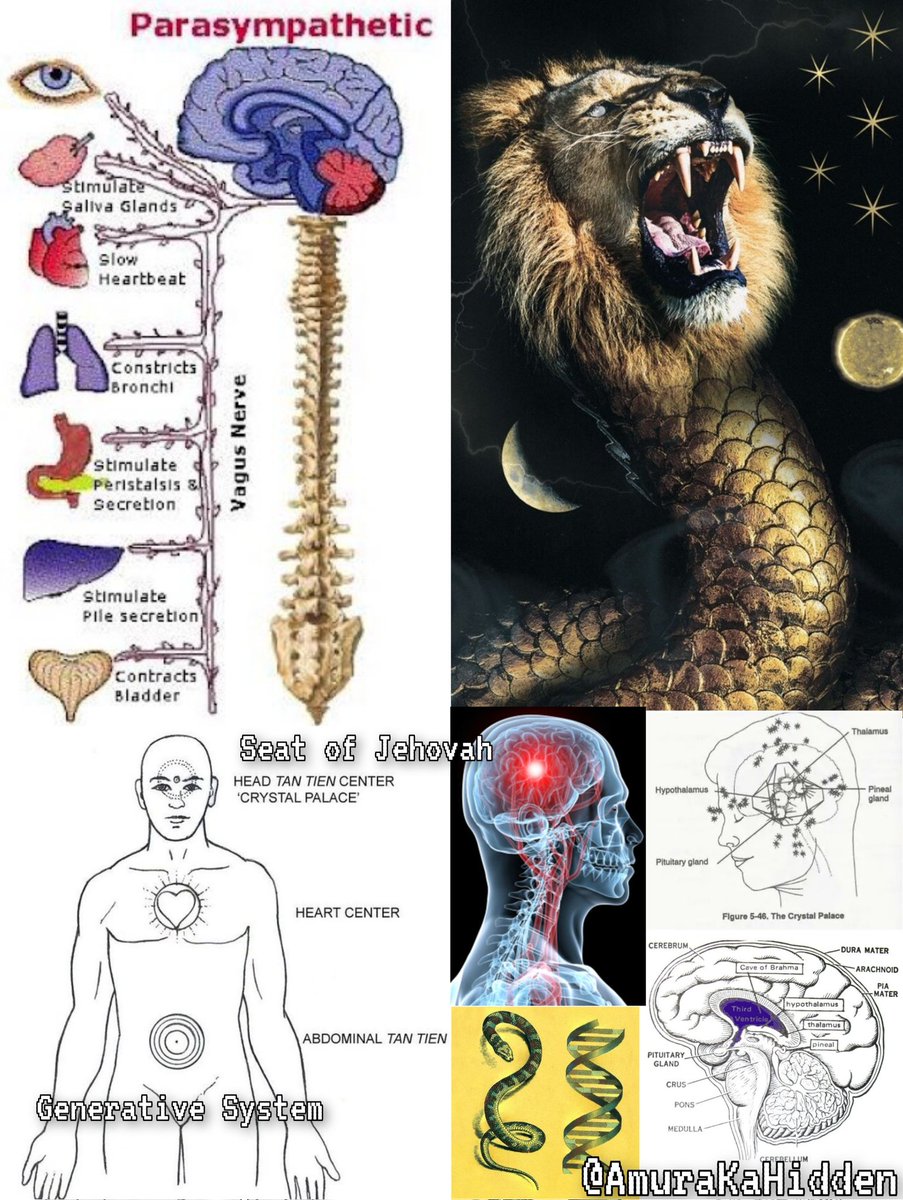 釋放慾望會消耗磁能,導致許多健康問題:缺乏熱情、性慾減退、睡眠障礙等等。但是,一旦控制住慾望,就能賦予人類動物般的吸引力,性控制就是你的神力。你只需開啟它。