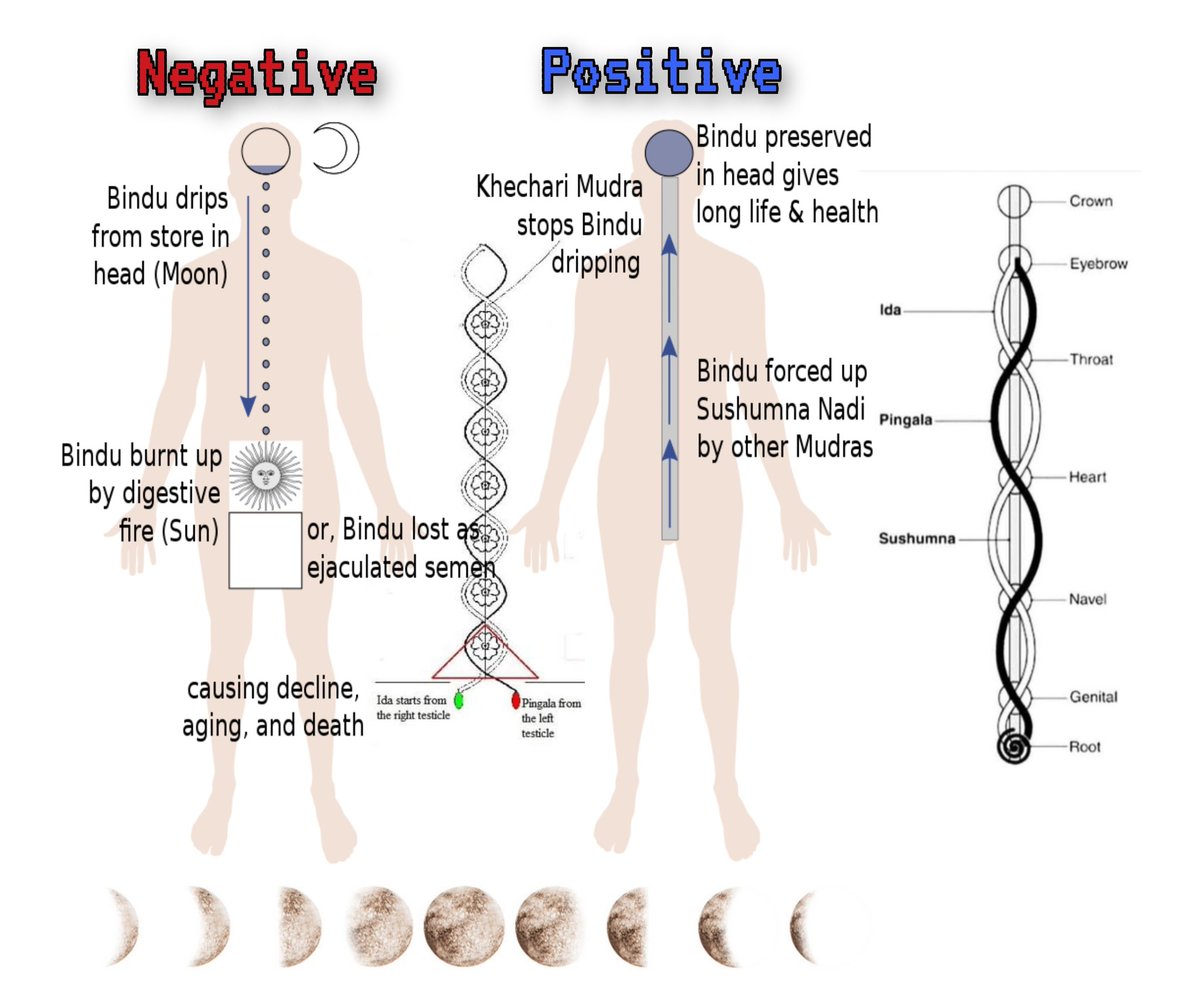 當你沉迷於這些不良活動,精神處於這種狀態時,你的潛意識就會受到各種有害影響和負面精神活性化學物質的侵害。你很容易被任何人和任何事所操控。