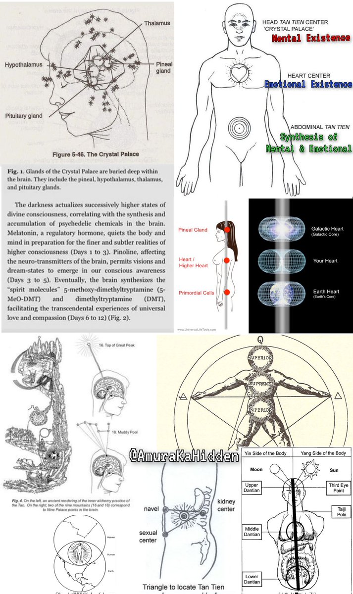 塞繆爾·昂·維奧爾寫道:“那些可憐的人利用了性愛中最美好、最微妙的物質,卻可悲地將其浪費在滿足他們粗暴的精神慾望上。”
正如我們所看到的,消費色情製品和屈服於我們動物性的慾望會帶來不良後果。
