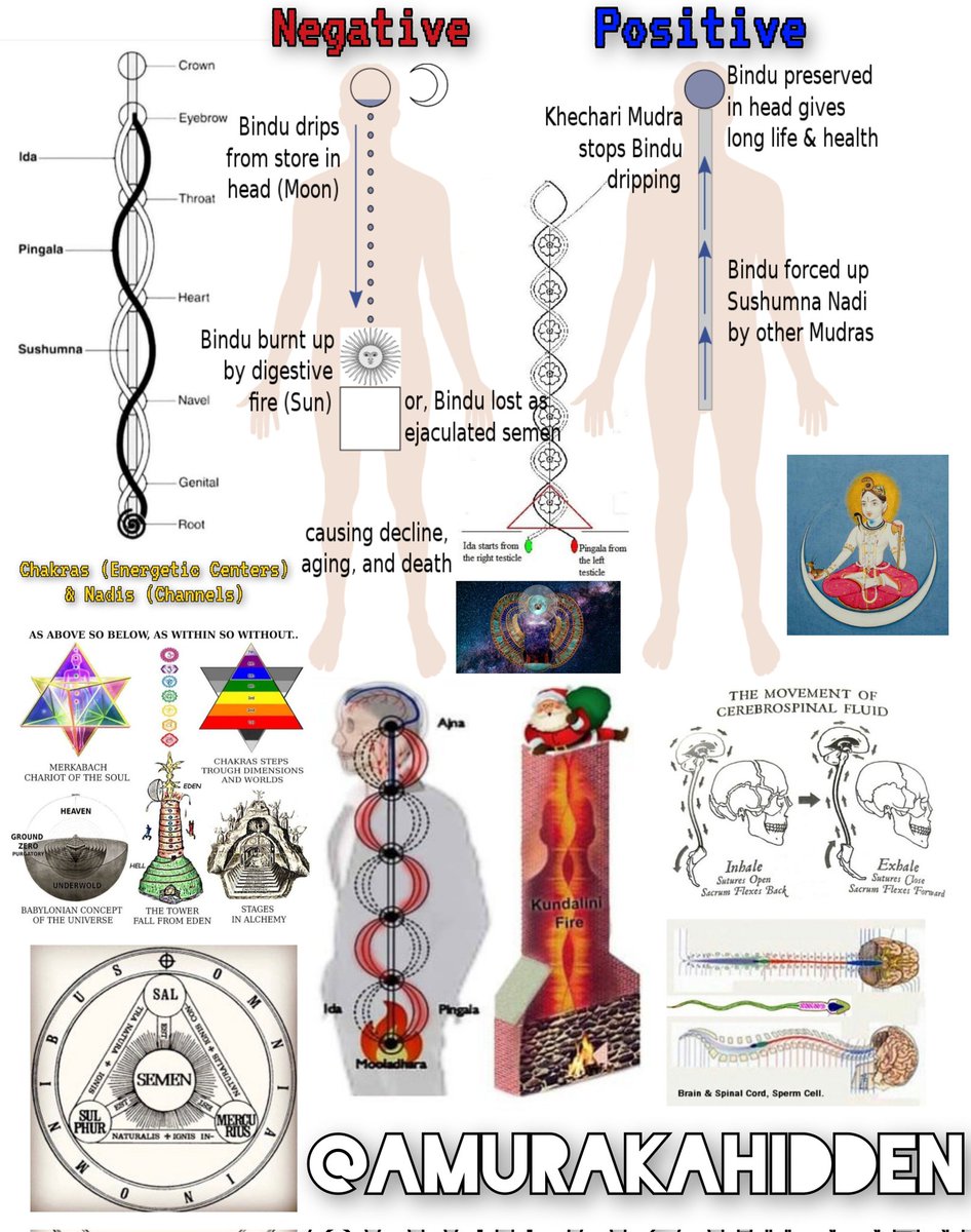 認識你自己
但是,重要的是要明白,你的性別認同不應該是你全部的身分。
當你學會滋養靈魂而不是感官時,你就準備好獲得自我掌控的能力了。