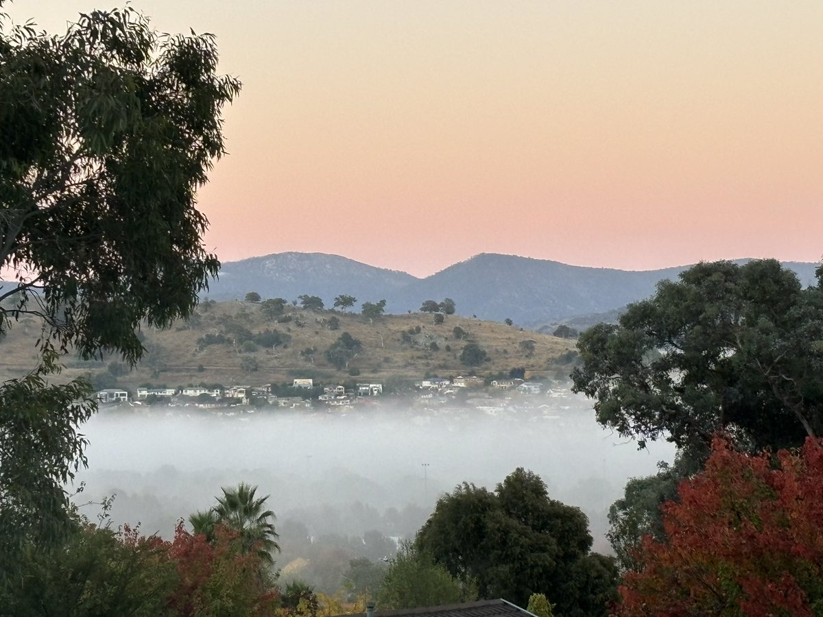 chifley_alison's tweet photo. Fog in the #LanyonValley at sunrise this morning. #Conder https://t.co/ctqLt10CdI