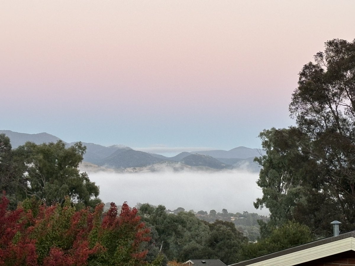 chifley_alison's tweet photo. Fog in the #LanyonValley at sunrise this morning. #Conder https://t.co/ctqLt10CdI