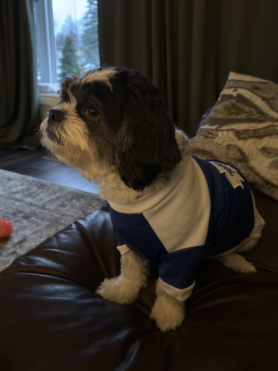 amanda christine tweet media