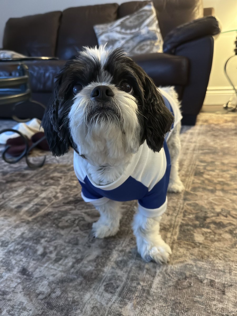 amanda christine tweet media