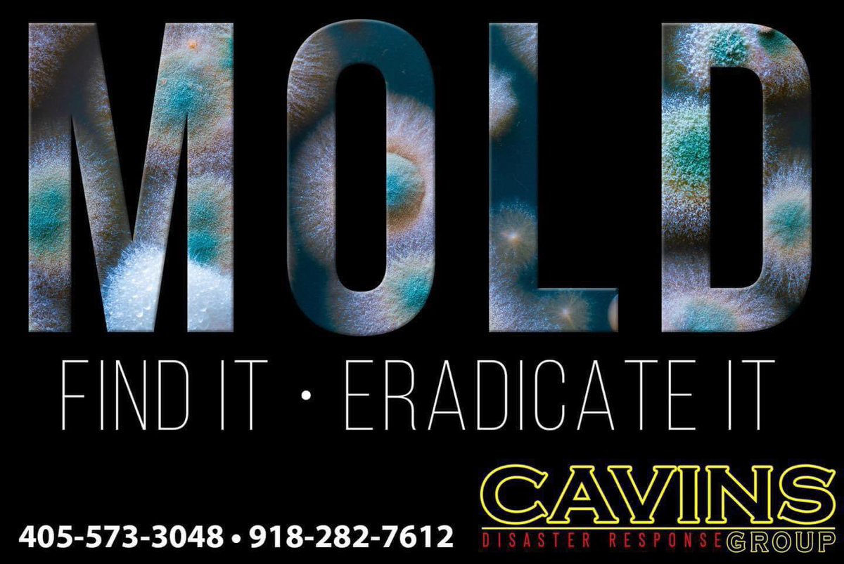 If you are currently experiencing mold issues, we would be more than happy to assist you. Please do not hesitate to reach out to us at either 405-573-3048 or 918-282-7612.

#normanoklahoma #mooreok #Edmond #normanok #PaulsValley #Stillwater #Norman #OklahomaCity #Oklahoma