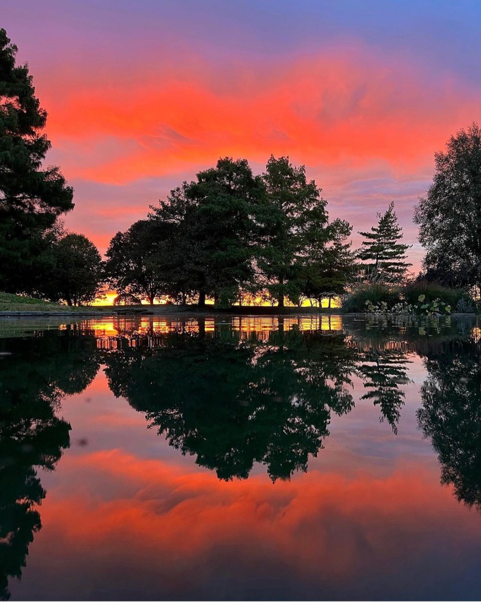 Guess what? Today's date, 4/20/2024, is a palindrome! Just like how it reads the same forward and backward, nature also exhibits reflections and symmetry. Just like in these photos taken at Alms Park and Eden Park. Photos by Ralph Hodge on Instagram