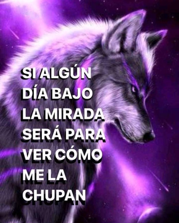 Memakker (@memakker) on Twitter photo 