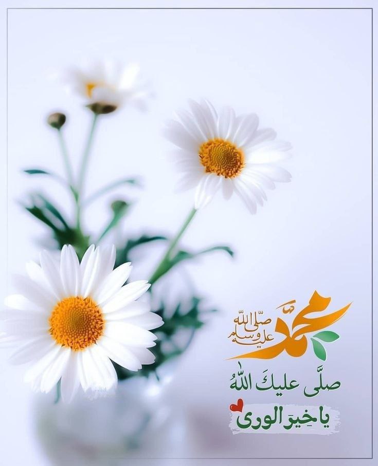 اللهُم في صباح هذا اليوم مُعجزة من عندك تُغير الأقدار وتُحقق الأماني💜🌺
#صباح_الخير #صباح_الخير_والحب_والسلام 
#حبيت_اقول