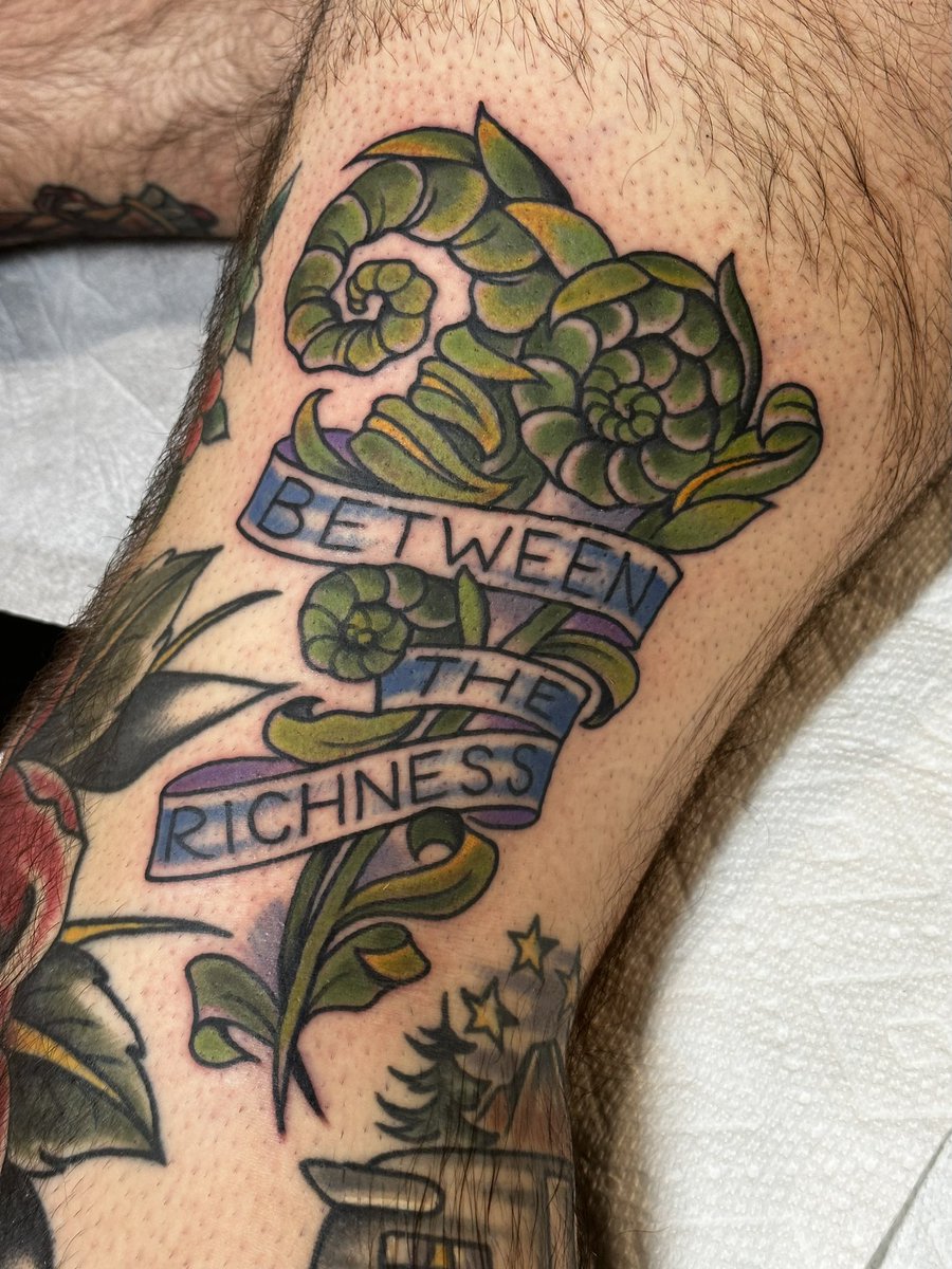 “With all the years you changed Ten-faced every day Old death’s dulling sting To new life blooming” A long overdue ode to one of the most important records I’ve ever listened to. Thankful for Jenn Gawle and all the passion she put into this tattoo. 🌿