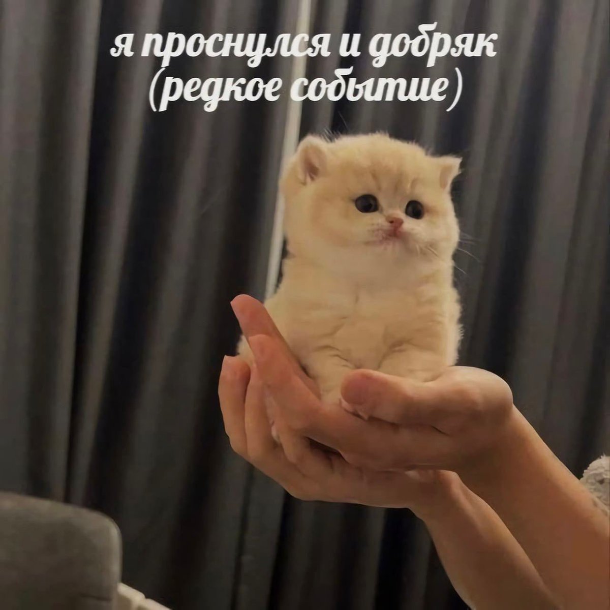 Dankest Memes (@dankestmemesrus) on Twitter photo 