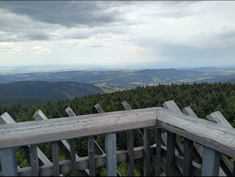 GHOST IN THE SHELL tweet media