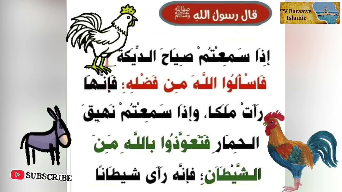 8mai7hm's tweet photo. #دحام_الضحيك

الأغلب يجهههههل هالحديث 

ودائماً في برامج التواصل او القنوات نسمع صوت الديك 
ولانعرّف الدعاء ،،؟
 
⬇️⬇️ https://t.co/ppaa64WuSS