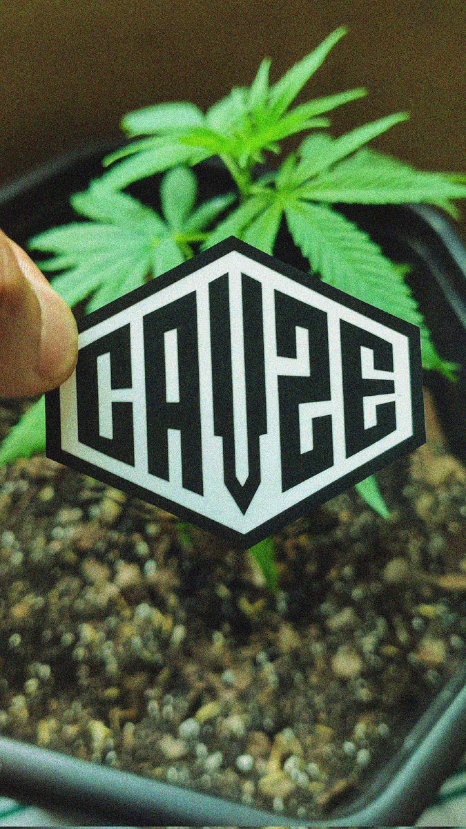 cavzewear's tweet photo. Happy 4/20 💨
#420day #420Life #cavze #cavzewear https://t.co/wNJXJjEBGD
