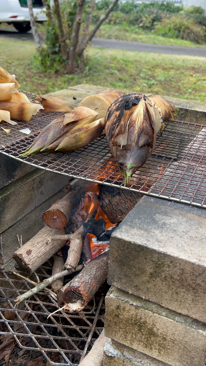 satonote_radio's tweet photo. 掘りたてのタケノコ、皮が付いたまま直火で焼いていただきました😍😍
タケノコの香りが口いっぱいに広がります！
このほか、ワラビもおひたしにしてパクリ！

#サトノート #里山ゼロベース #satonote #ドクトル西野 #高橋万里恵 https://t.co/8H5Z7rluNr