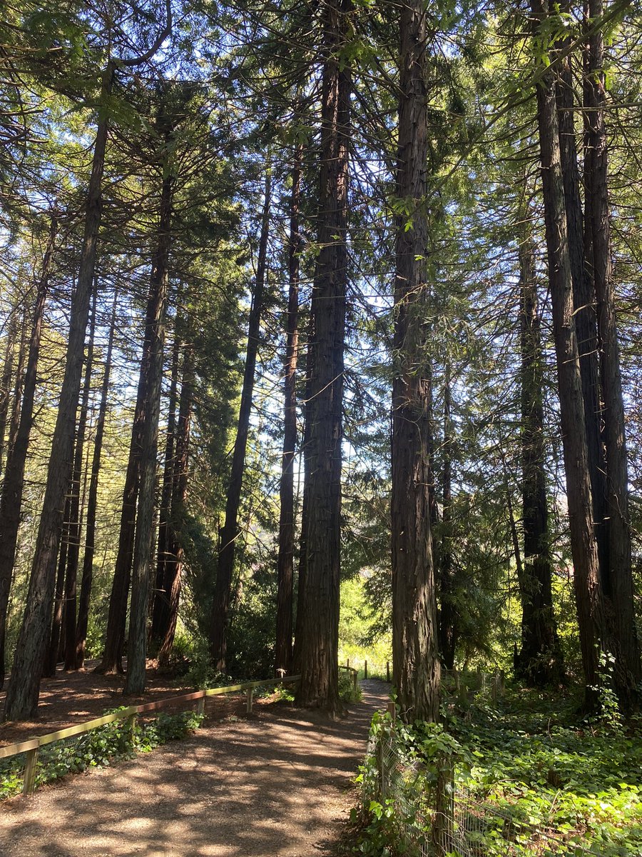 Nice day for a Presidio hike