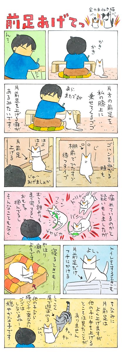 癖とこだわり│フェリシモ猫部 https://t.co/8ZZ2duq6Uk 