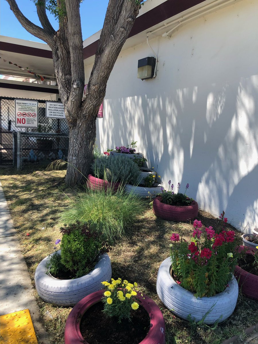 HolbrookPfc's tweet photo. Earth Day HOLA style…making our campus beautiful!
Thanks to our amazing CARES team for pulling this all together and to the many families that came out to support. A special shout out to Carlyn Obringer from Concord City Council for being there! https://t.co/q95rP2xcpy