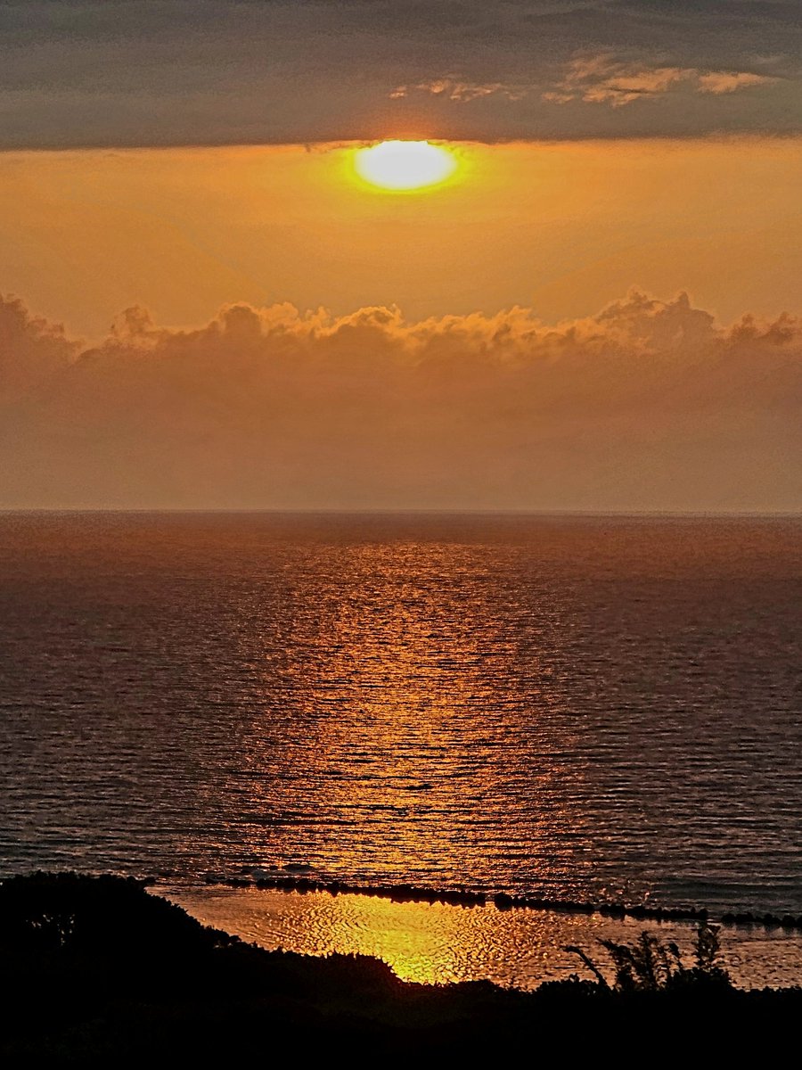 Andrew Brindle tweet media