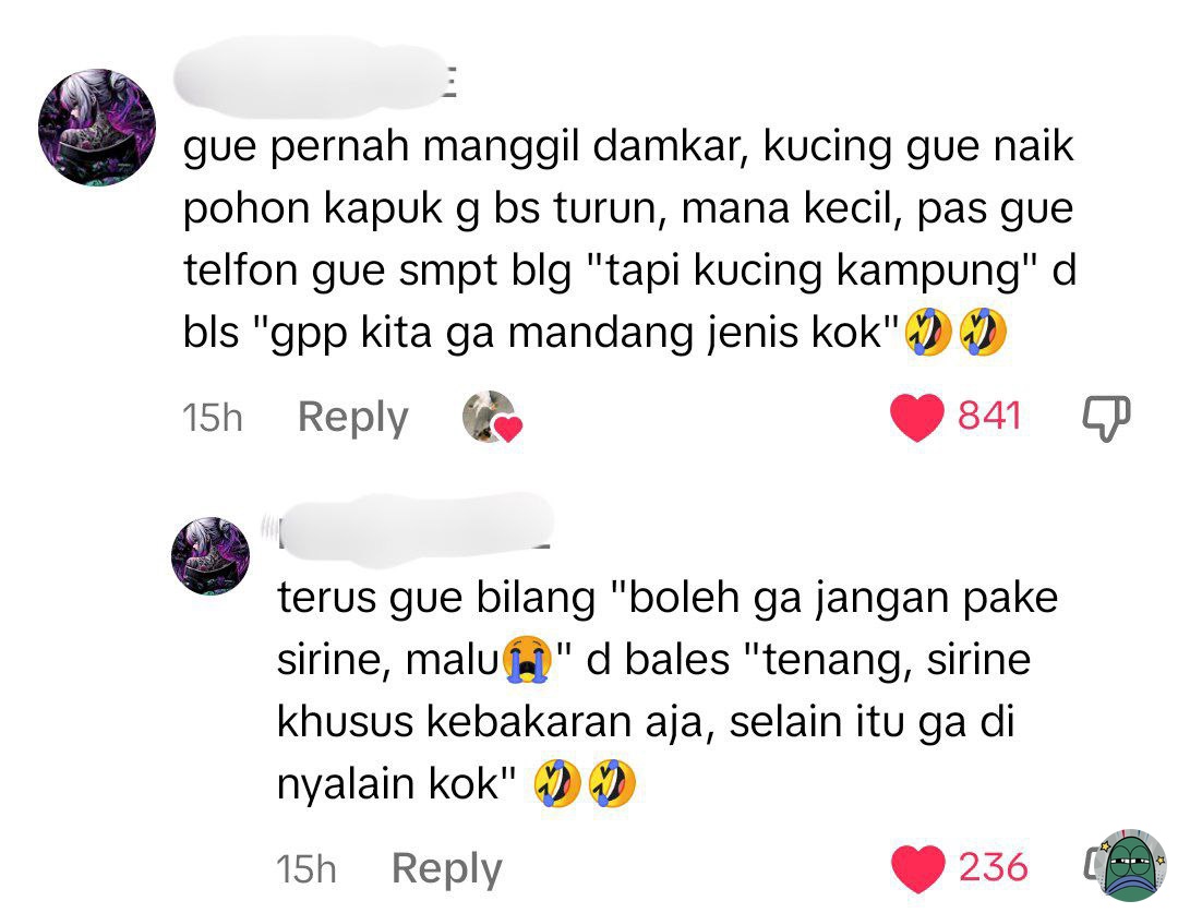 Tanyarlfes tweet media