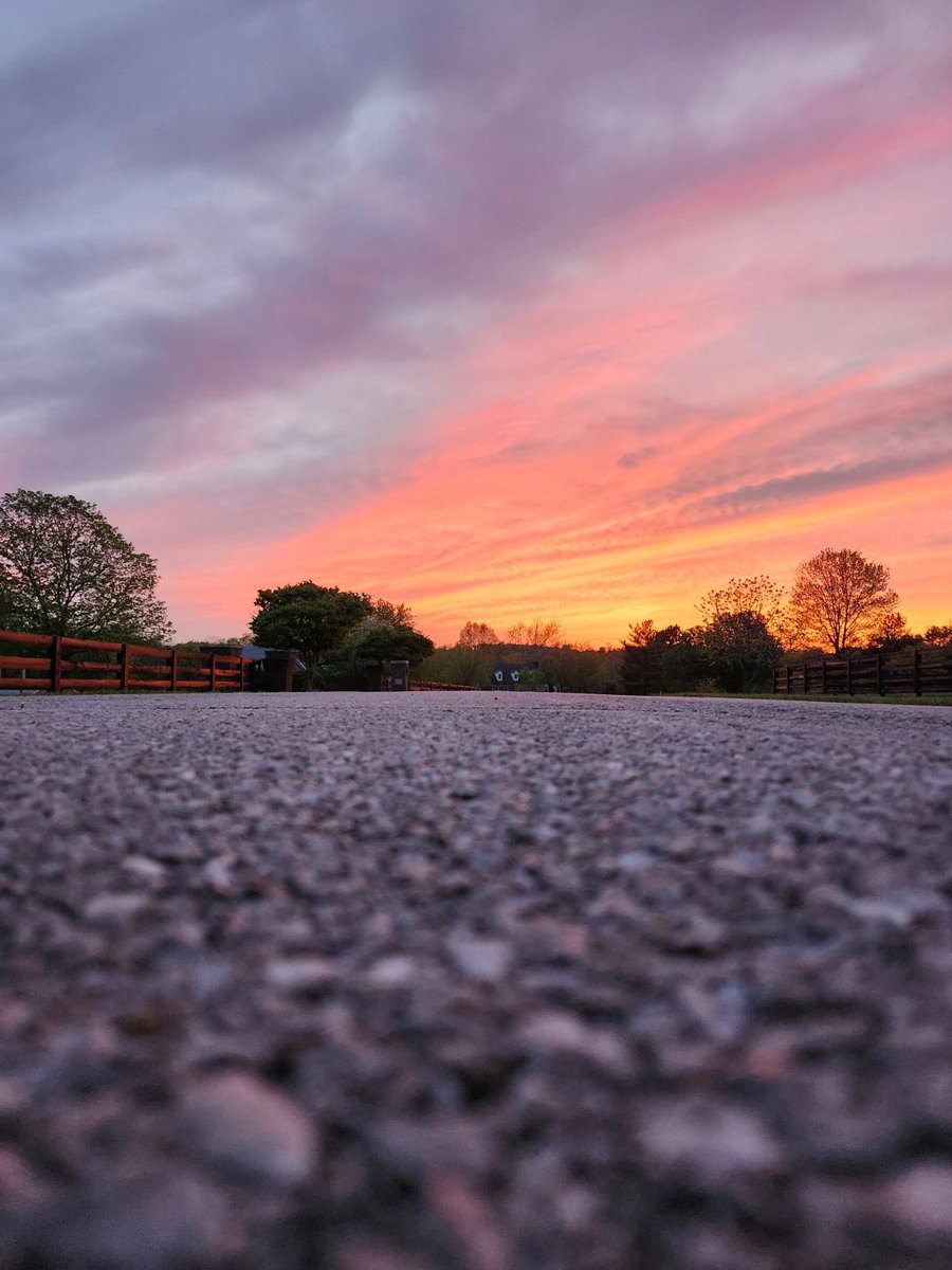 George Shunnara tweet media