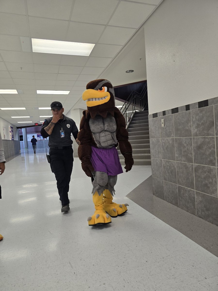 MPorras_EHS's tweet photo. @Eastlake_HS Spirit was soaring today! Falcon Cheer &amp; Falco had a great time at our Spring Festival! https://t.co/Ys1CcTtqdC