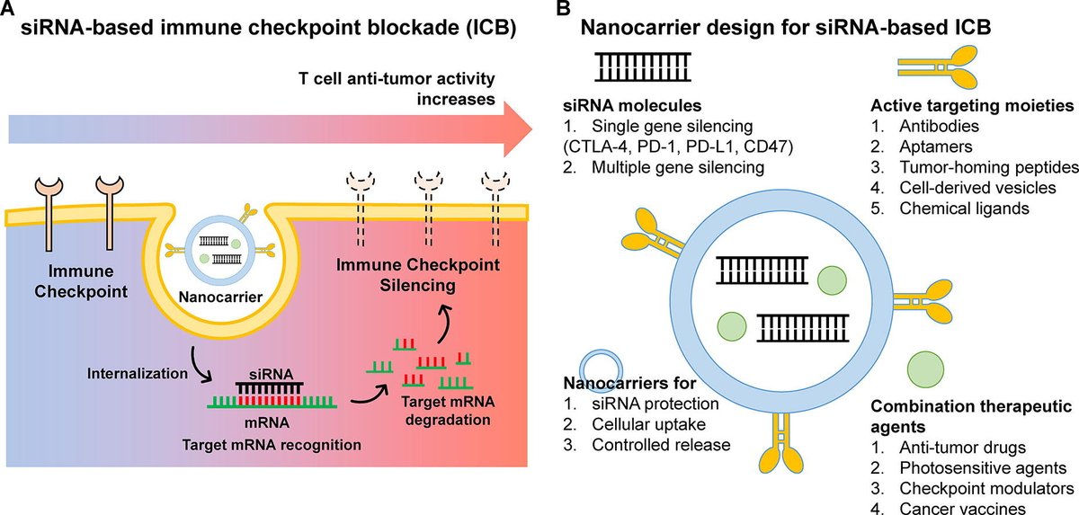 ADDR in press: Advancing cancer immunotherapy through siRNA-based gene silencing for immune checkpoint blockade. By Ick Chan Kwon & coworkers @KistPublic @KoreaCRS @doubleparr #siRNAdelivery #nanoparticle #CombinationTherapy #immunotherapy