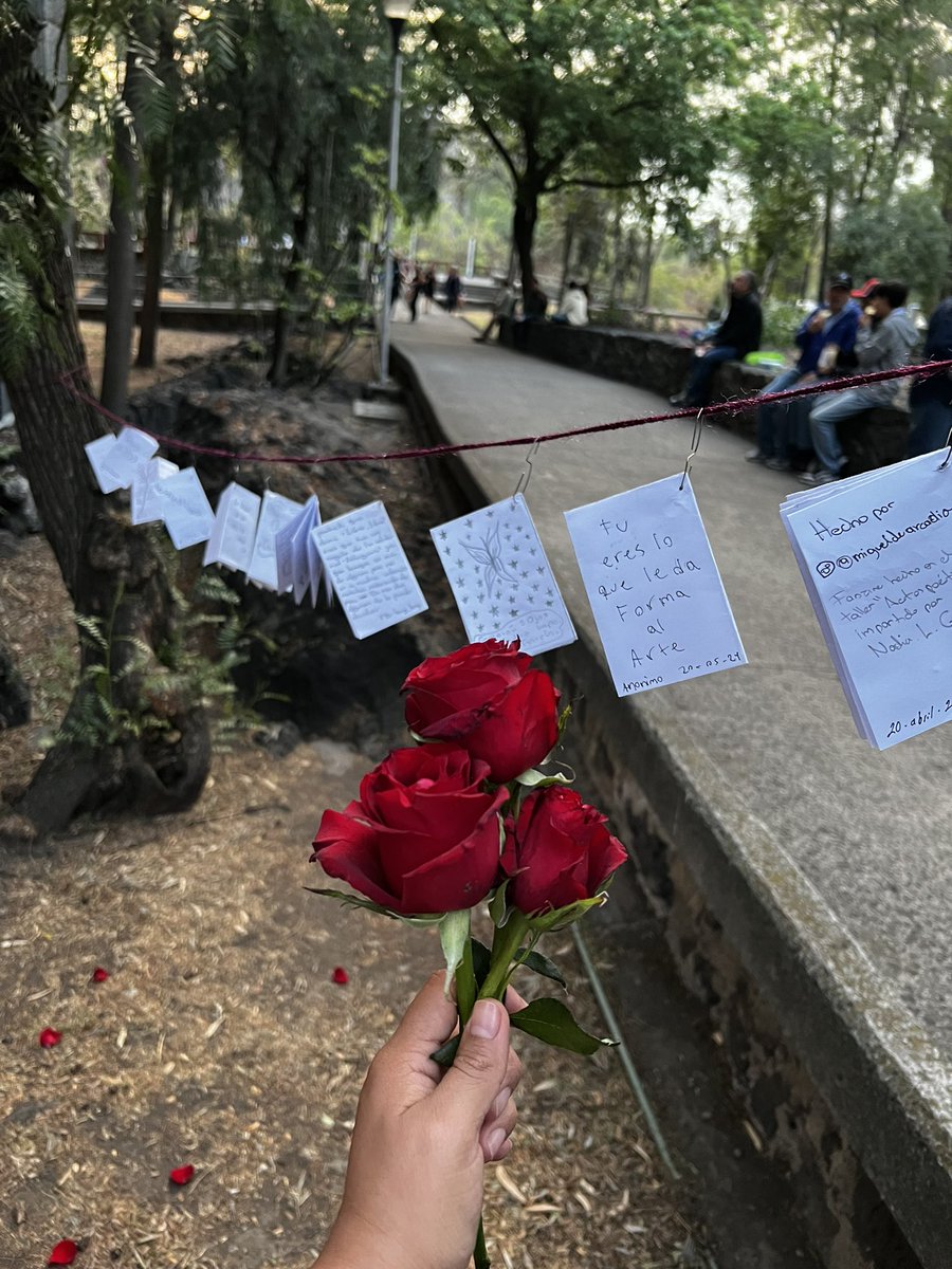 Hoy en #FiestaLibroyRosa ♥️♥️♥️ Dimos el taller de poesía y fanzine, gracias a @universoUNAM por la invitación !!! Hicimos exploraciones poéticas en una caminata, ejercicios de escritura breve, escuchamos música. Surgieron textos bellísimos, pasen a leerlos ♥️!! Feliz 🥰🫰🏽♥️🌹