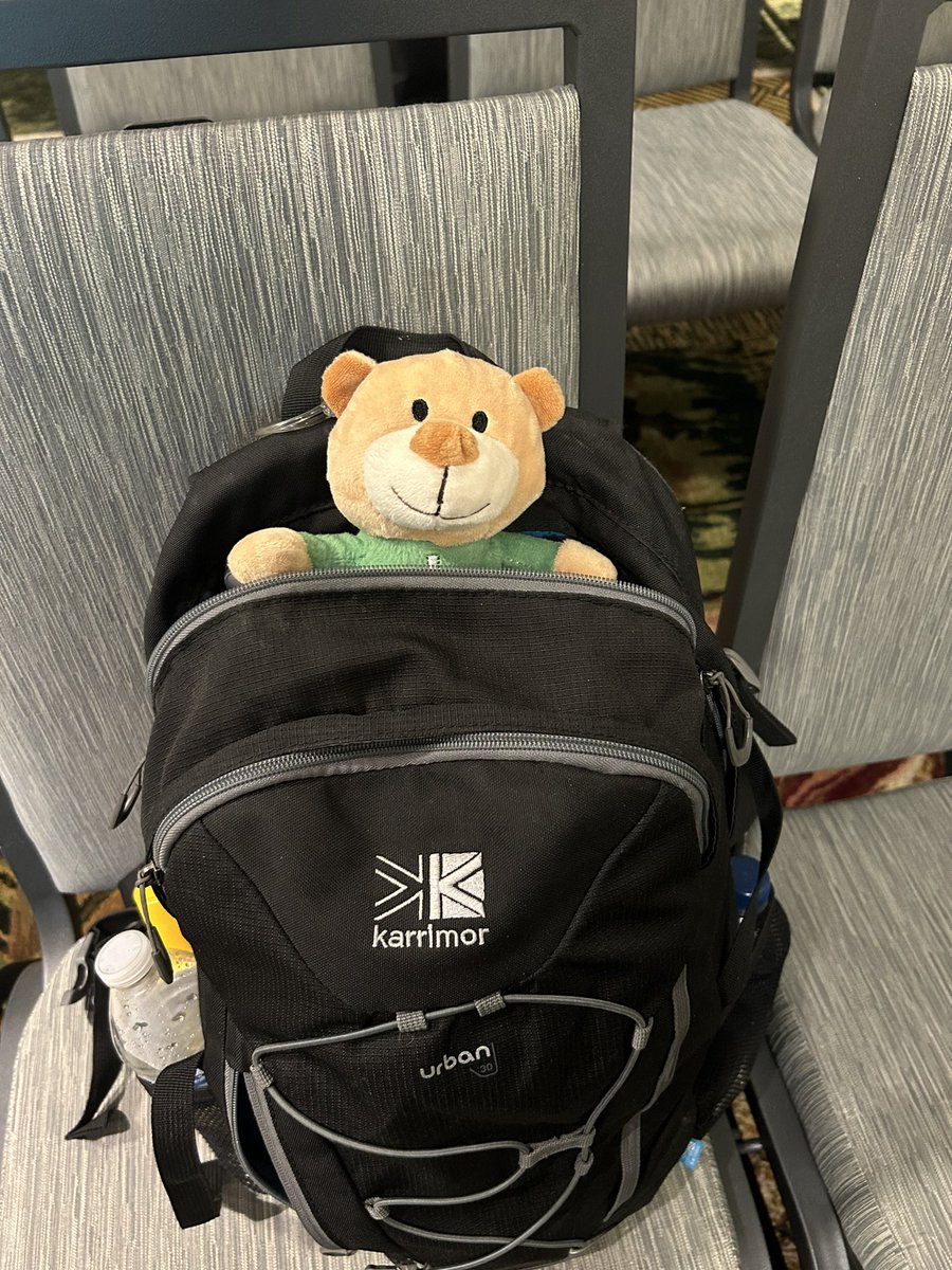 Kathy Reilly tweet media