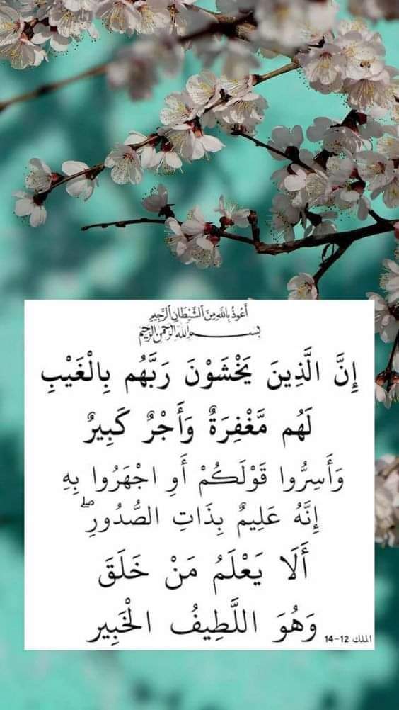 💐السلام علیکم ورحمتہ اللہ وبرکاتہ 💐 💐💐🥀 دن بخیر 🥀💐💐