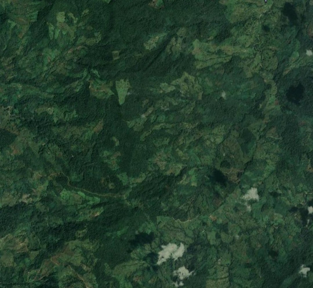 ¡Urgente! Paramilitares en la vereda Las Nieves irrumpen propiedad privada. Hay varios paracos acampados dentro del predio y no permiten que pobladores realicen allí labores agrícolas. Ya es la tercera amenaza consecutiva contra quien intenta trabajar el predio.
Vda Las Nieves👇