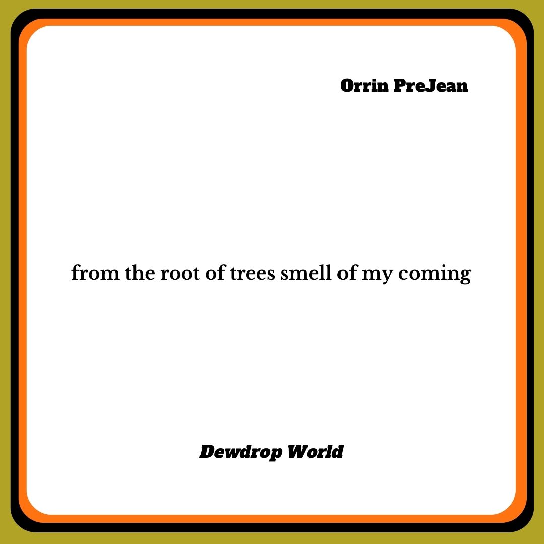 CuttlefishHaiku's tweet photo. Dig this #senryu from @SenryuChest's collection, Dewdrop World. 

#Read more #poetry in our waters.

Link in bio. https://t.co/IcqZTonPni