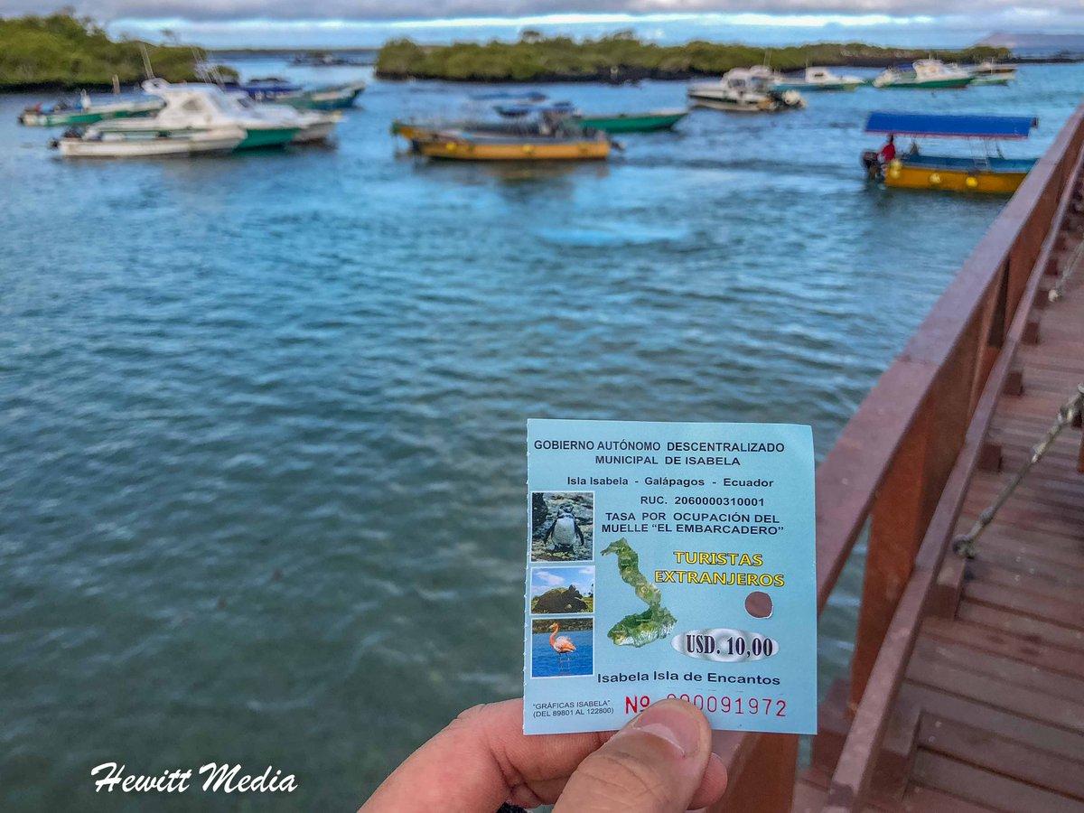 Before you start planning your trip to the Galapagos Islands, make sure you check out my guide on everything you need to know to visit the Galapagos. #Travel #Galapagos #TravelGuide #TripPlanning #TravelBlog  wanderlustphotosblog.com/2018/10/30/eve…