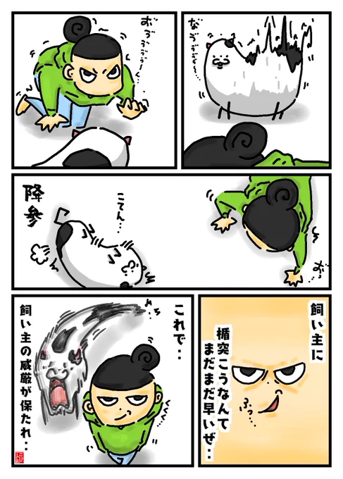 飼い主の威厳‥#猫    #猫がいる暮らし  #猫好きさんと繋がりたい  #漫画が読めるハッシュタグ  #漫画好きと繋がりたい #漫画 