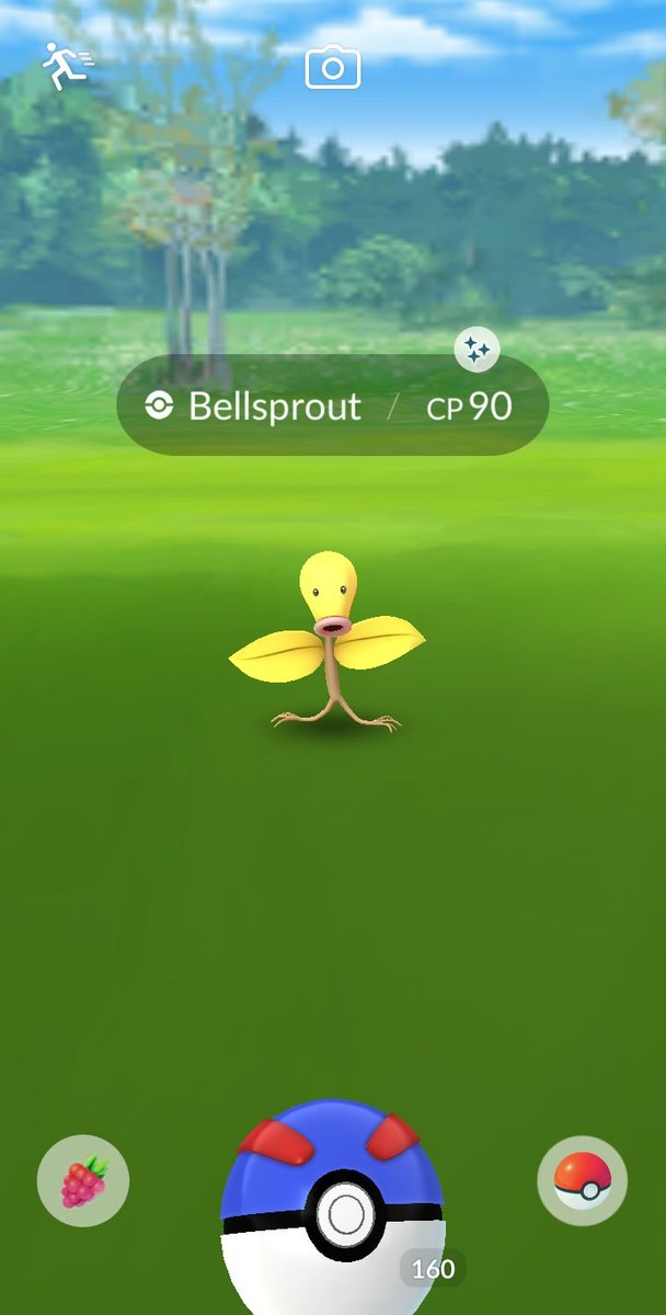 ROJOSHEHULK's tweet photo. Hi #Bellsprout 🟡🌕🌝💛🌼
💫❤️🔥🍓💎🌬️🌸
#poketrailz
#PokemonGOCommunityDay
#PokemonGOApp
#NianticAR https://t.co/vfaGpnBH44