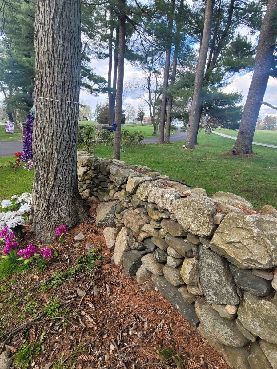 #jenniferdulos memorial earlier today in New Cannan CT Waveny Park #michelletroconis #domesticviolence #justiceforjenniferdulos