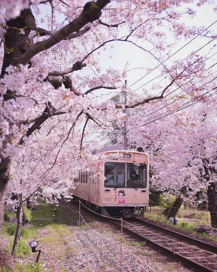 Kyoto, Japan