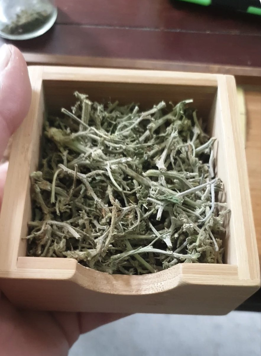 KlaytonwithaC's tweet photo. Happy 4/20

I got the hook up today https://t.co/VE8caO7YIe
