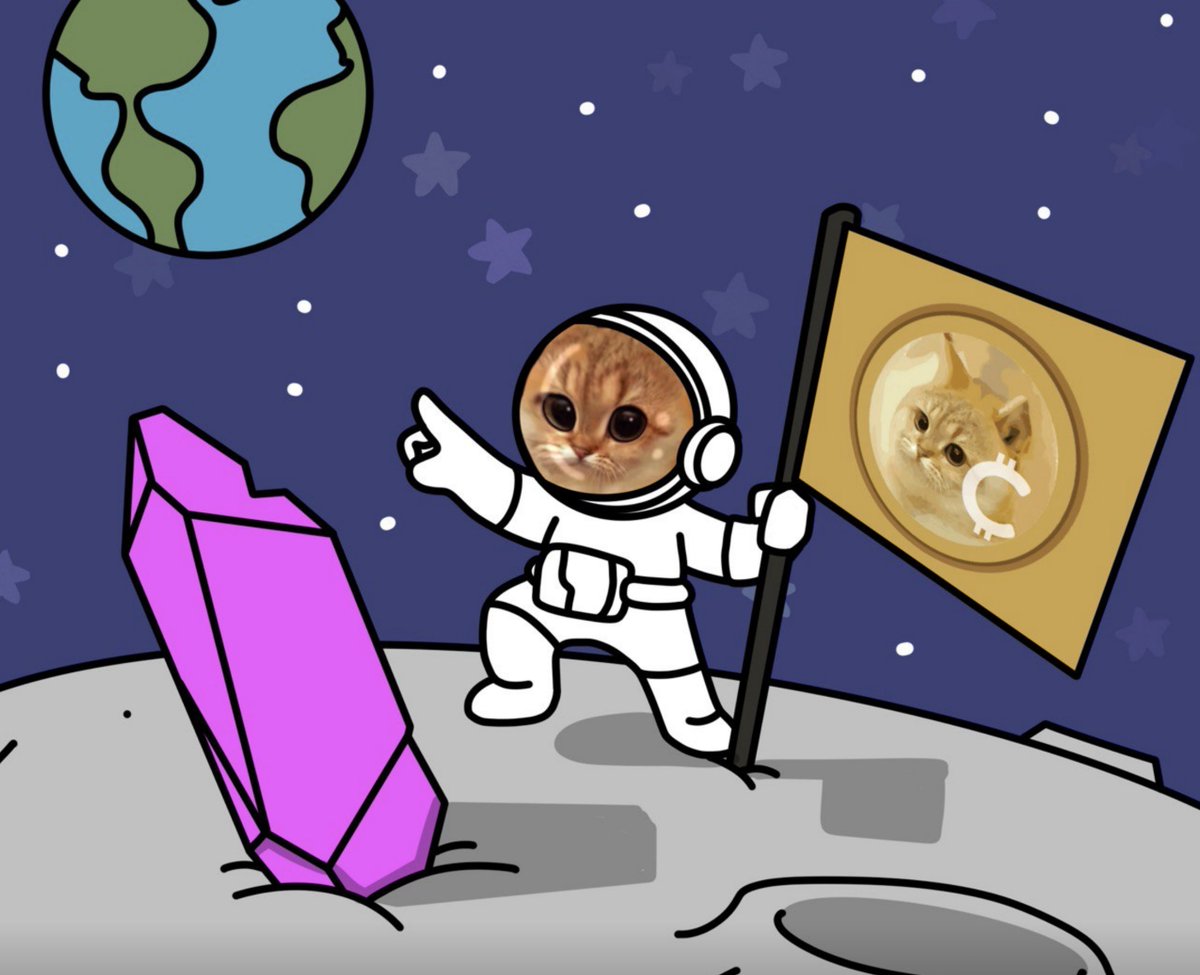 catcoin's tweet photo. #catcoin is a coin created by a community. We started with a market cap of less than $100k and now have a market cap of over $50m.

-No influencer allocations. 
-No team tokens. 
-No founder’s tokens.  

Just a powerful community!!

#memecoin #1000xgem https://t.co/hkvVkXBSSx
