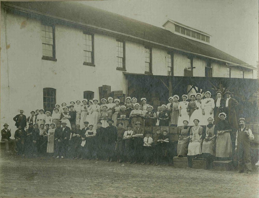 Jess Linzel tweet media