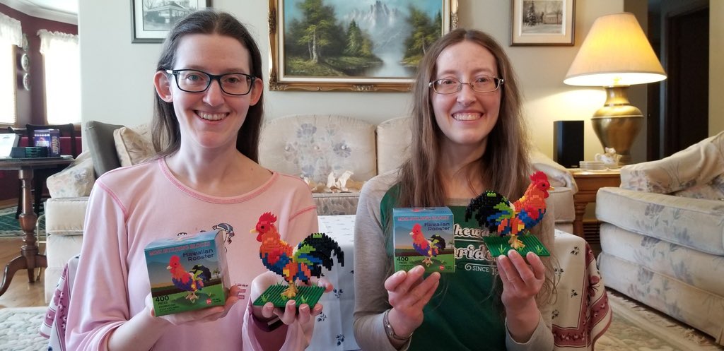 A week ago, @sheldon_spock1 & I finished constructing our Hawaiian roosters that we got for Easter this year from our parents! Each #rooster needed to be built from 400 mini building blocks! It was well worth the effort! #hawaiianrooster #buildingproject #somuchfun #soexciting