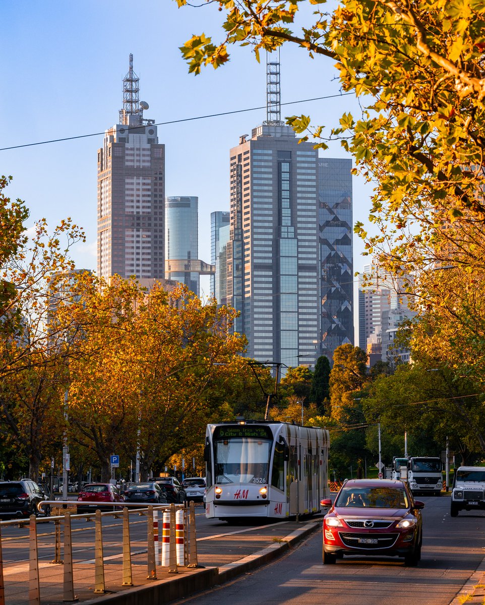 Melbourne was recently crowned the world's most liveable cities without a car, and it's no surprise why 🚃💛 📷 via IG/a.j.willko 📍 Melbourne CBD, on Wurundjeri Country