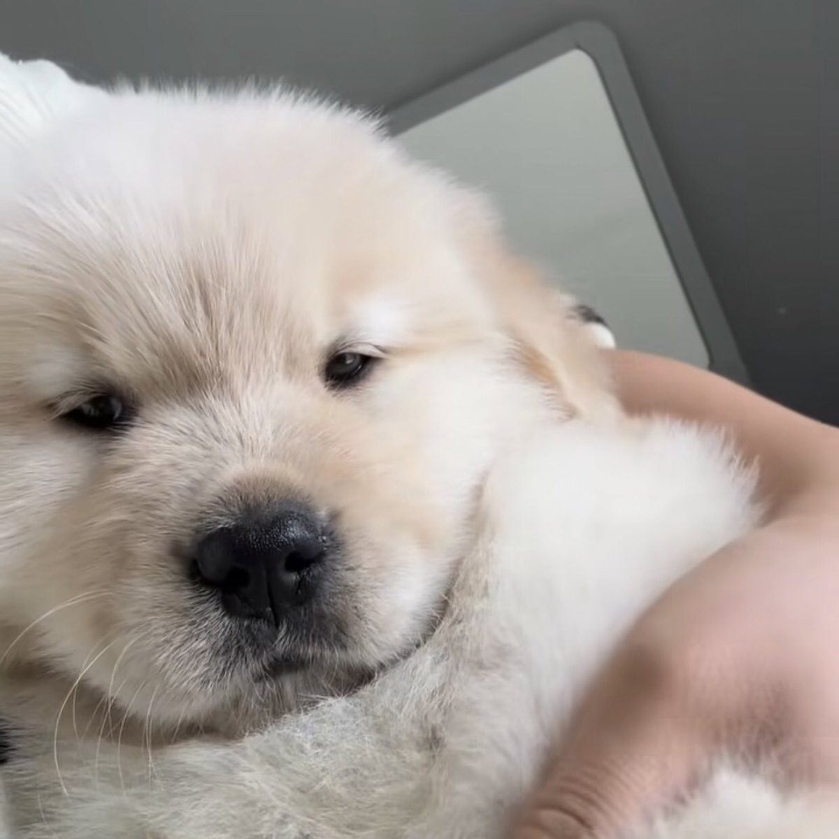 ขอให้สาวๆทุกคนมีวันที่ดีนะค่าบ 💕