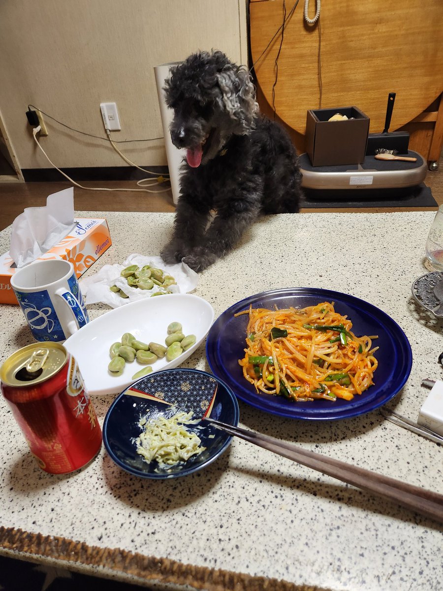 アーｳﾞ😱今週もうちは朝から居酒屋じゃねーって怒られる…おれと子分🐶(笑)まだ５本目なのに、 子分🐶いわく親分が〆に納豆定食、ハムエッグ付きでがヤバかったと…🤣