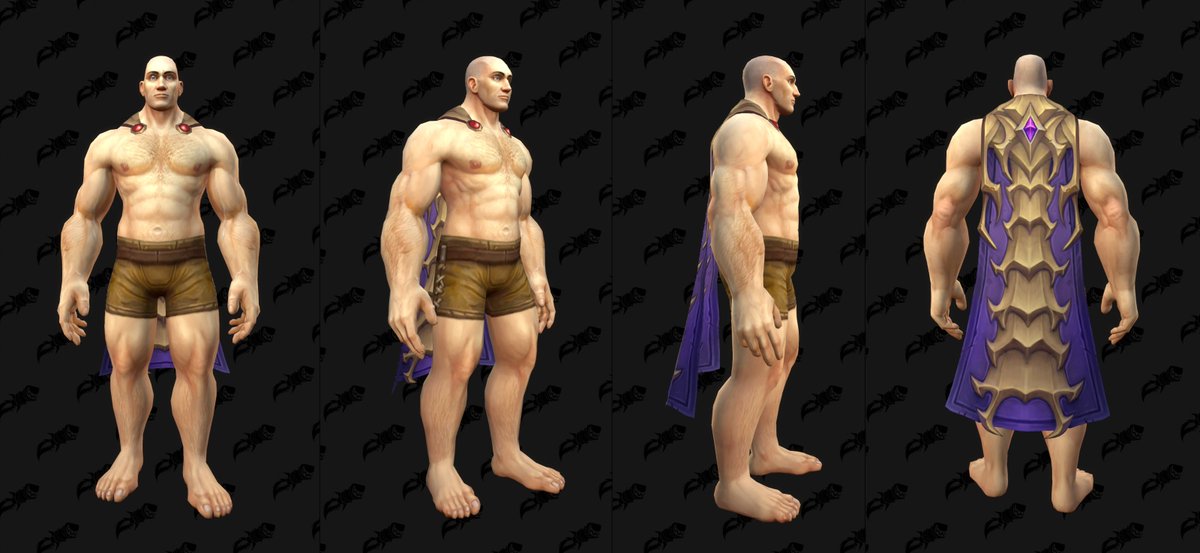 Looks like these are the upcoming Gladiator tabards and cloak coming to #WarWithin! #warcraft wowhead.com/news/fancy-cos…