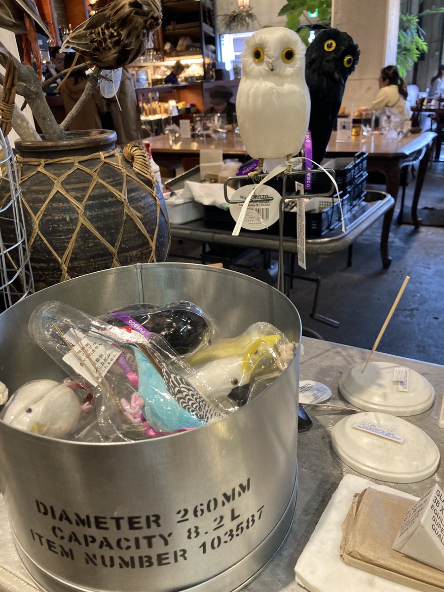 nade_2005's tweet image. 写真みてるだけでほしくて興奮してくる始末(   ˙³˙  )♡

#札幌中央区
#カフェとセレクトショップ
#FAbLOUS