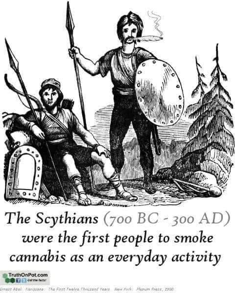 'Cannabis was an integral part of the Scythian cult of the dead, wherein homage was paid to the memory of their departed leaders. After the death and burial of their king, the Scythians would purify themselves by setting up small tepee-like structures which they would enter to