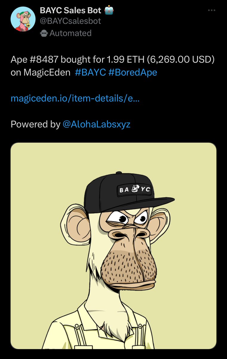 A Raving Ape 🟡 tweet media