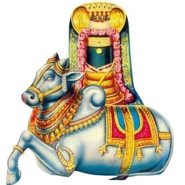 kaippulla123's tweet photo. 20 வகை பிரதோஷங்களும். அதன் வழிபாடு பலன்களும்

மொத்தம் 20 வகை பிரதோஷங்கள்

1. தினசரி பிரதோஷம்
2. பட்சப் பிரதோஷம்
3. மாசப் பிரதோஷம்
4. நட்சத்திரப் பிரதோஷம்
5. பூரண பிரதோஷம்
6. திவ்யப் பிரதோஷம்
7. தீபப் பிரதோஷம்
8. அபயப் பிரதோஷம் என்னும் சப்தரிஷி பிரதோஷம்
9. மகா பிரதோஷம்
10. உத்தம மகா பிரதோஷம்
11. ஏகாட்சர பிரதோஷம்
12. அர்த்தநாரி பிரதோஷம்
13. திரிகரண பிரதோஷம்
14. பிரம்மப் பிரதோஷம்
15. அட்சரப் பிரதோஷம்
16. கந்தப் பிரதோஷம்
17. சட்ஜ பிரபா பிரதோஷம்
18. அஷ்ட திக் பிரதோஷம்
19. நவக்கிரகப் பிரதோஷம்
20. துத்தப் பிரதோஷம்

1.தினசரி பிரதோஷம்

தினமும் பகலும், இரவும் சந்திக்கின்ற சந்தியா காலமாகிய மாலை 4.30 மணி முதல் 6.30 மணி வரை உள்ள காலமாகும். இந்த நேரத்தில் ஈசனைத் தரிசனம் செய்வது உத்தமம் ஆகும். நித்தியப்பிரதோஷத்தை யார் ஒருவர் ஐந்து வருடங்கள் முறையாகச் செய்கிறார்களோ அவர்களுக்கு “முக்தி” நிச்சயம் ஆகும் என்கிறது நமது சாஸ்திரம்.

2. பட்சப் பிரதோஷம்

அமாவாசைக்குப் பிறகான, சுக்லபட்சம் என்ற வளர் பிறை காலத்தில் 13-வது திதியாக வரும் “திரயோதசி” திதியே பட்சப் பிரதோஷம் ஆகும். இந்தத்திதியின் மாலை நேரத்தில் பட்சிலிங்க வழிபாடு [பறவையோடு உள்ள அது சம்பந்தப்பட்ட லிங்கம் மைலாப்பூர், மயிலாடு துறை போல்] செய்வது உத்தமம் ஆகும்.

3. மாசப் பிரதோஷம்

பவுர்ணமிக்குப் பிறகு வரும் கிருஷ்ணபட்சம் என்ற தேய்பிறை காலத்தில், 13-வது திதியாக வரும் “திரயோதசி” திதியே மாதப் பிரதோஷம் ஆகும். இந்த திதியின் மாலை நேரத்தில் “பாணலிங்க” வழிபாடு [பல்வேறு லிங்க வகைகளில் பான லிங்கம் ஒரு வகை] செய்வது உத்தம பலனைத் தரும்.

4. நட்சத்திரப் பிரதோஷம்

பிரதோஷ திதியாகிய “திரயோதசி திதி”யில் வரும் நட்சத்திரத்திற்கு உரிய ஈசனை பிரதோஷ நேரத்தில் வழிபடுவது நட்சத்திர பிரதோஷம் ஆகும்.

5. பூரண பிரதோஷம்

திரயோதசி திதியும், சதுர்த்தசி திதியும் சேராத திரயோதசி திதி மட்டும் உள்ள பிரதோஷம் பூரண பிரதோஷம் ஆகும். இந்தப் பிரதோஷத்தின் போது “சுயம்பு லிங்கத்தை”த் தரிசனம் செய்வது உத்தம பலனை தரும். பூரண பிரதோஷ வழிபாடு செய்பவர்கள் இரட்டைப் பலனை அடைவார்கள்.

6. திவ்யப் பிரதோஷம்

பிரதோஷ தினத்தன்று துவாதசியும், திரயோதசியும் சேர்ந்து வந்தாலோ அல்லது திரயோதசியும், சதுர்த்தசியும் சேர்ந்து வந்தாலோ அது “திவ்யப் பிரதோஷம்” ஆகும். இந்த நாளன்று மரகத லிங்கேஸ்வரருக்கு அபிஷேக ஆராதனை செய்தால் பூர்வஜென்ம வினை முழுவதும் நீங்கும்.

7. தீபப் பிரதோஷம்
பிரதோஷ தினமான திரயோதசி திதியில் தீப தானங்கள் செய்வது, ஈசனுடைய ஆலயங்களைத் தீபங்களால் அலங்கரித்து ஈசனை வழிபட சொந்த வீடு அமையும்.

8. அபயப் பிரதோஷம் என்னும் சப்தரிஷி பிரதோஷம்

வானத்தில் “வ” வடிவில் தெரியும் நட்சத்திர கூட்டங்களே, “சப்தரிஷி மண்டலம்” ஆகும். இது ஐப்பசி, கார்த்திகை, மார்கழி, தை, மாசி, பங்குனி மாதங்களில் வானில் தெளிவாகத் தெரியும்.

இந்த மாதங்களில் திரயோதசி திதியில் முறையாக பிரதோஷ வழிபாடு செய்து, சப்தரிஷி மண்டலத்தைத் தரிசித்து வழிபடுவதே அபயப் பிரதோஷம் என்னும் சப்தரிஷி பிரதோஷம் ஆகும். இந்த வழிபாட்டை செய்பவர்களுக்கும் ஈசன் தரம் பார்க்காது அருள் புரிவான்.

9. மகா பிரதோஷம்

ஈசன் விஷம் உண்ட நாள் கார்த்திகை மாதம், சனிக்கிழமை, திரயோதசி திதி ஆகும். எனவே சனிக்கிழமையும், திரயோதசி திதியும் சேர்ந்து வருகின்ற பிரதோஷம் “மகா பிரதோஷம்” ஆகும். இந்த மகா பிரதோஷத்து அன்று எமன் வழிபட்ட சுயம்பு லிங்க தரிசனம் செய்வது மிகவும் உத்தமம் ஆகும்.

குறிப்பாக திருக்கடையூர், சென்னை வேளச்சேரியில் உள்ள, “தண்டீசுவர ஆலயம்”. திருச்சி, மண்ணச்சநல்லூர் அருகே உள்ள “திருப்பைஞ்ஞீலி” சிவ ஆலயம், குடவாசலில் இருந்து நன்னிலம் செல்லும் பாதையில் உள்ள “ஸ்ரீவாஞ்சியம்” சிவ ஆலயம், கும்ப கோணம் முதல் கதிராமங்கலம் சாலையில் உள்ள “திருக்கோடி காவல்” சிவ ஆலயம் ஆகியவை குறிப்பிடத்தக்கனவாகும். மாசி மாதம் வரும் மகா சிவராத்திரிக்கு முன்னால் வரும் பிரதோஷமும், “மகா பிரதோஷம்” எனப்படும்.

10. உத்தம மகா பிரதோஷம்

சிவபெருமான் விஷம் அருந்திய தினம் சனிக்கிழமையாகும். அந்தக் கிழமையில் வரும் பிரதோஷம் மிகவும் சிறப்பானதாகும். சித்திரை, வைகாசி, ஐப்பசி, கார்த்திகை ஆகிய மாதங்களில் வளர்பிறையில், சனிக்கிழமையில் திரயோதசி திதியன்று வரும் பிரதோஷம் உத்தம மகா பிரதோஷம் ஆகும். இது மிகவும் சிறப்பும் கீர்த்தியும் பெற்ற தினமாகும்.

11. ஏகாட்சர பிரதோஷம்

வருடத்தில் ஒரு முறை மட்டுமே வரும் மகா பிரதோஷத்தை `ஏகாட்சர பிரதோஷம்’ என்பர். அன்றைக்கு சிவாலயம் சென்று, `ஓம்’ என்ற பிரணவ மந்திரத்தை எத்தனை முறை ஓத முடியுமோ, அத்தனை முறை ஓதுங்கள். பின், விநாயகரையும் வழிபட்டு, ஏழை எளியவர்களுக்கு அன்னதானம் வழங்கினால் பல விதமான நன்மைகள் ஏற்படும்.

12. அர்த்தநாரி பிரதோஷம்

வருடத்தில் இரண்டு முறை மகாபிரதோஷம் வந்தால் அதற்கு அர்த்தநாரி பிரதோஷம் என்று பெயர். அந்த நாளில் சிவாலயம் சென்று வழிபட்டால், தடைப்பட்ட திருமணம் நடைபெறும். பிரிந்து வாழும் தம்பதி ஒன்று சேர்வார்கள்.

13. திரிகரண பிரதோஷம்

வருடத்துக்கு மூன்று முறை மகாபிரதோஷம் வந்தால் அது திரிகரண பிரதோஷம். இதை முறையாகக் கடைப்பிடித்தால் அஷ்ட லட்சுமிகளின் ஆசியும் அருளும் கிடைக்கும். பிரதோஷ வழிபாடு முடிந்ததும் அஷ்ட லட்சுமிகளுக்கும் பூஜை வழிபாடு செய்வது மிகவும் நல்லது.

14. பிரம்மப் பிரதோஷம்

ஒரு வருடத்தில் நான்கு மகா பிரதோஷம் வந்தால், அது பிரம்மப் பிரதோஷம். இந்தப் பிரதோஷ வழிபாட்டை முறையாகச் செய்தால் முன்ஜென்மப் பாவம் நீங்கி, தோஷம் நீங்கி நன்மைகளை அடையலாம்.

15. அட்சரப் பிரதோஷம்

வருடத்துக்கு ஐந்து முறை மகா பிரதோஷம் வந்தால் அது அட்சரப் பிரதோஷம். தாருகா வனத்து ரிஷிகள். `நான்’ என்ற அகந்தையில் ஈசனை எதிர்த்தனர். ஈசன், பிட்சாடனர் வேடத்தில் வந்து தாருகா வன ரிஷிகளுக்குப் பாடம் புகட்டினார். தவறை உணர்ந்த ரிஷிகள், இந்தப் பிரதோஷ விரதத்தை அனுஷ்டித்து பாவ விமோசனம் பெற்றனர்.

16. கந்தப் பிரதோஷம்

சனிக்கிழமையும், திரயோதசி திதியும், கிருத்திகை நட்சத்திரமும் சேர்ந்து வரும் பிரதோஷம் கந்தப் பிரதோஷம். இது முருகப் பெருமான் சூரசம்ஹாரத்துக்கு முன் வழிபட்ட பிரதோஷ வழிபாடு. இந்தப் பிரதோஷத்தில் முறையாக விரதம் இருந்தால் முருகன் அருள் கிட்டும்.

17. சட்ஜ பிரபா பிரதோஷம்

ஒரு வருடத்தில் ஏழு மகா பிரதோஷம் வந்தால் அது, `சட்ஜ பிரபா பிரதோஷம்’. தேவகியும் வசு தேவரும் கம்சனால் சிறையிடப்பட்டனர். ஏழு குழந்தைகளைக் கம்சன் கொன்றான். எனவே, எட்டாவது குழந்தை பிறப்பதற்கு முன்பு ஒரு வருடத்தில் வரும் ஏழு மகா பிரதோஷத்தை முறையாக அவர்கள் அனுஷ்டித்ததால், கிருஷ்ணர் பிறந்தார். நாம் இந்த விரதத்தைக் கடைப்பிடித்தால் முற்பிறவி வினை நீங்கி பிறவிப் பெருங்கடலை எளிதில் கடக்கலாம்.

18. அஷ்ட திக் பிரதோஷம்

ஒரு வருடத்தில் எட்டு மகா பிரதோஷ வழிபாட்டை முறையாகக் கடைப்பிடித்தால், அஷ்ட திக்குப் பாலகர்களும் மகிழ்ந்து நீடித்த செல்வம், புகழ், கீர்த்தி ஆகியவற்றைத் தருவார்கள்.

19. நவக்கிரகப் பிரதோஷம்

ஒரு வருடத்தில் ஒன்பது மகா பிரதோஷம் வந்தால், அது நவக்கிரகப் பிரதோஷம். இது மிகவும் அரிது. இந்தப் பிரதோஷத்தில் முறையாக விரதம் இருந்தால் சிவனின் அருளோடு நவக் கிரகங்களின் அருளும் கிடைக்கும்.

20. துத்தப் பிரதோஷம்

அரிதிலும் அரிது பத்து மகாபிரதோஷம் ஒரு வருடத்தில் வருவது. அந்தப் பிரதோஷ வழிபாட்டைச் செய்தால் பிறவி குறைபாடுகள் கூட சரியாகும்.