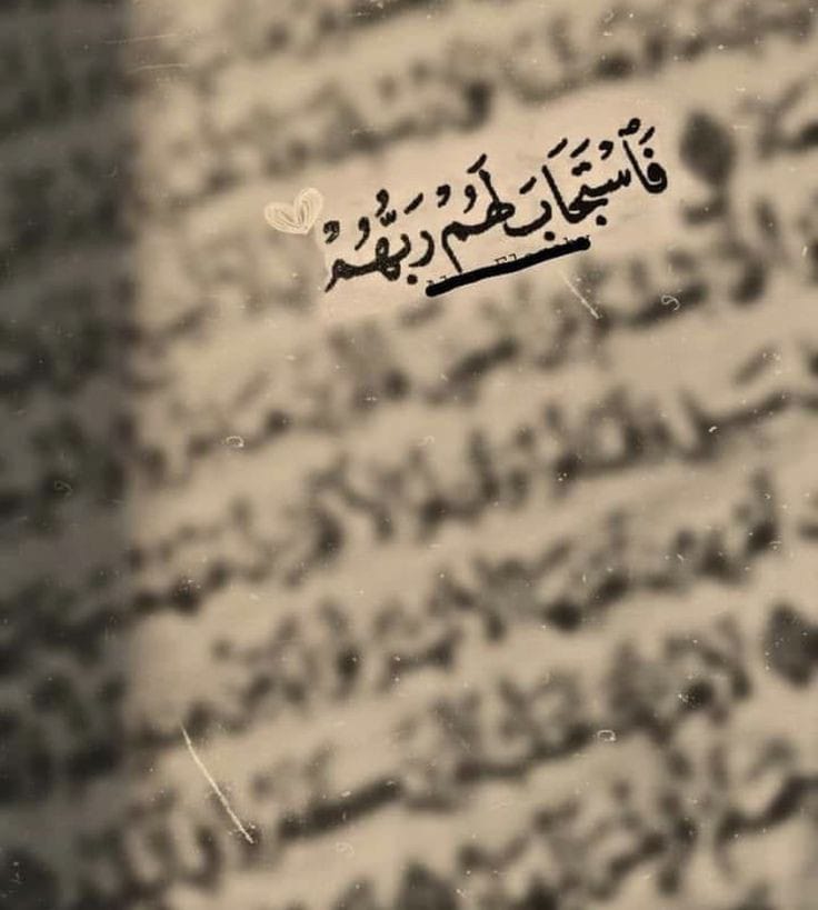 haukma's tweet photo. مع هدوء الفجر ❤️ https://t.co/BbddNbOOVP