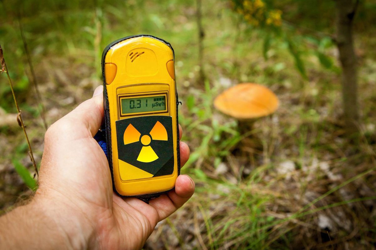 There are fungi at Chernobyl that EAT radiation and nuclear fallout – and that’s only the start of this wild story 🍄☢️

Buckle up for a wild thread about radioactive boars, fungal space suits, radiation-detecting fungi, black frogs and a good dose of hope! 🧵